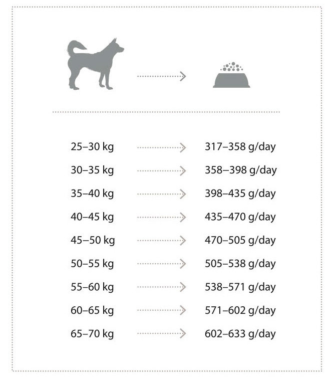 Natures Protection Maxi Adult pieaugušiem lielo šķirnu suņiem (15 kg un 4kg)